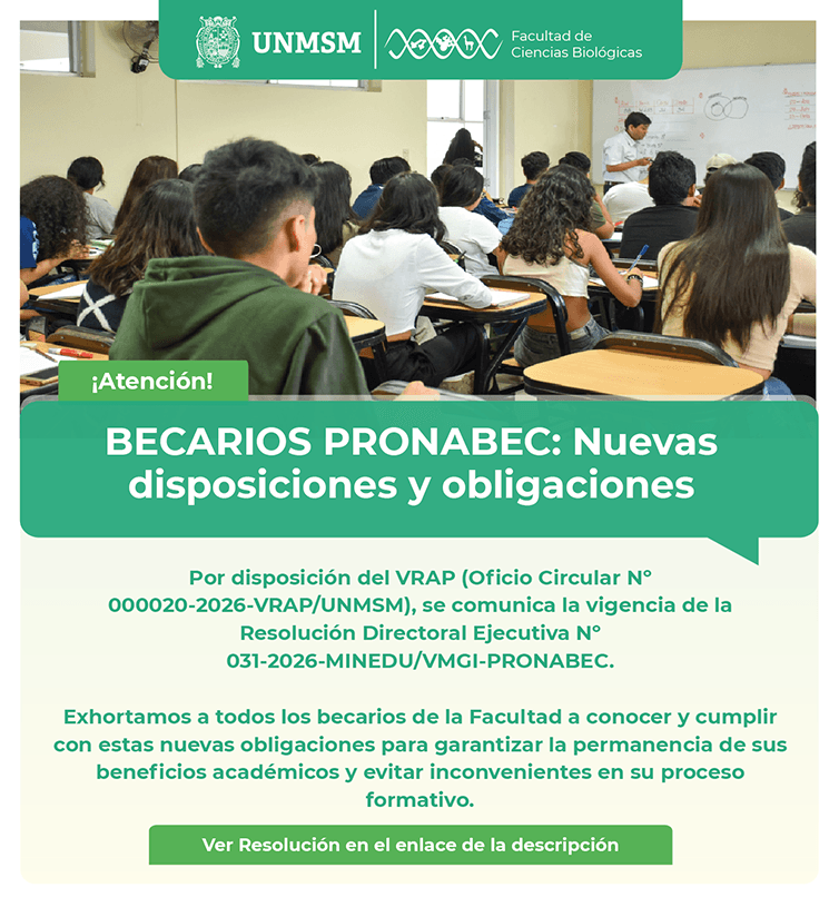 becarios pronabec web.png