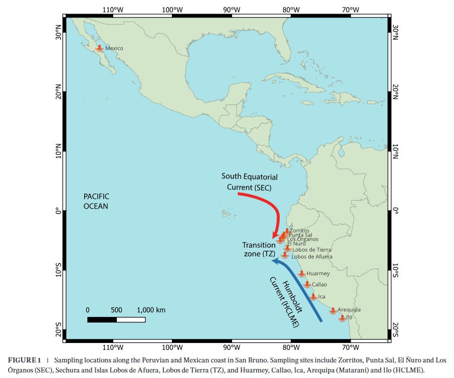 mapa publicacion ramirez m.jpg