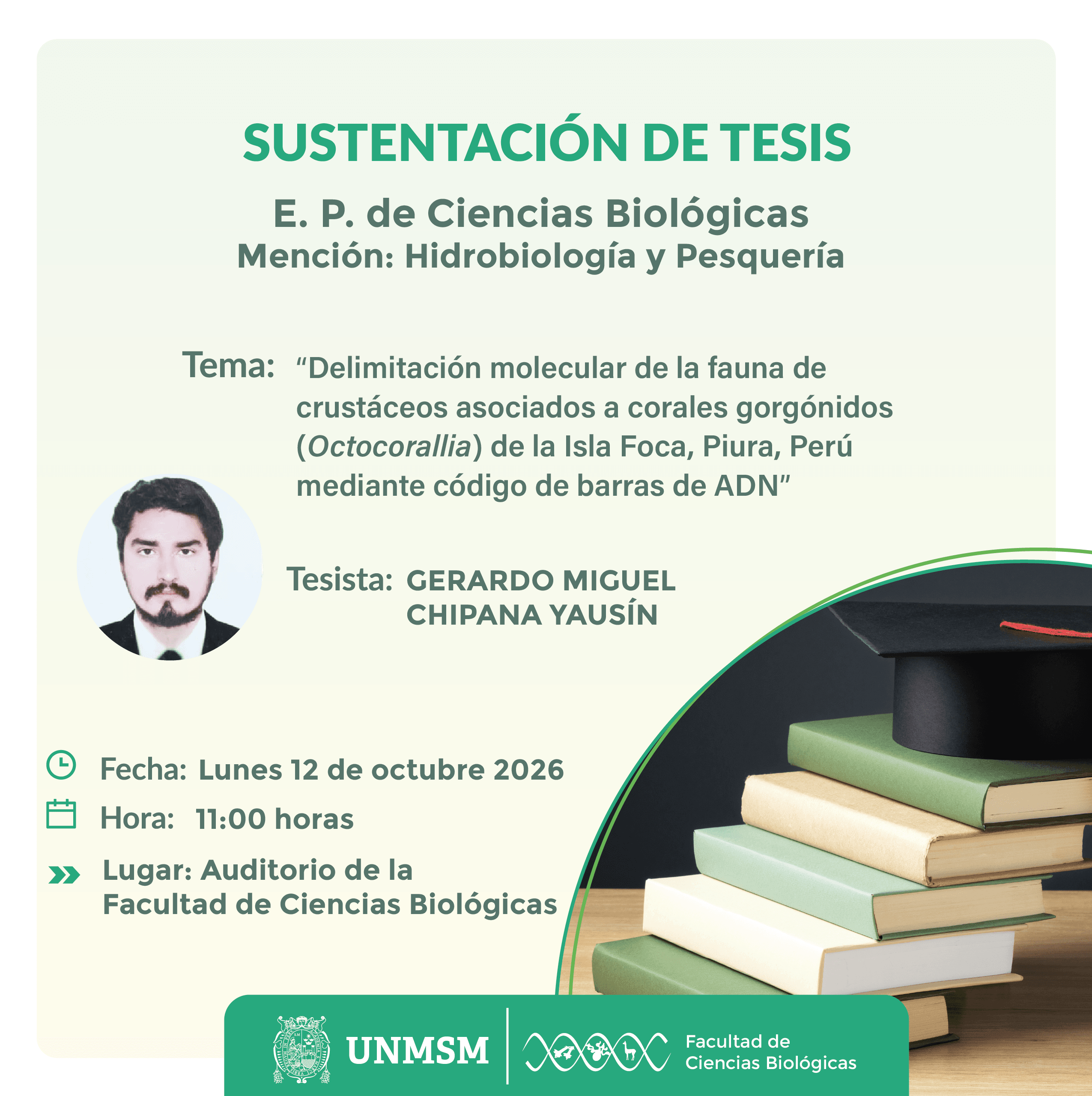 sustentación tesis chipana_Mesa de trabajo 1.png