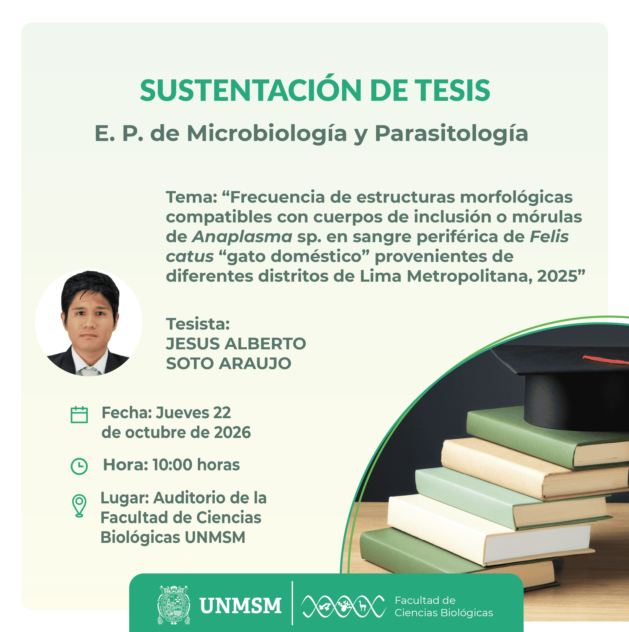 sustentación tesis myp Soto_Mesa de trabajo 1.png