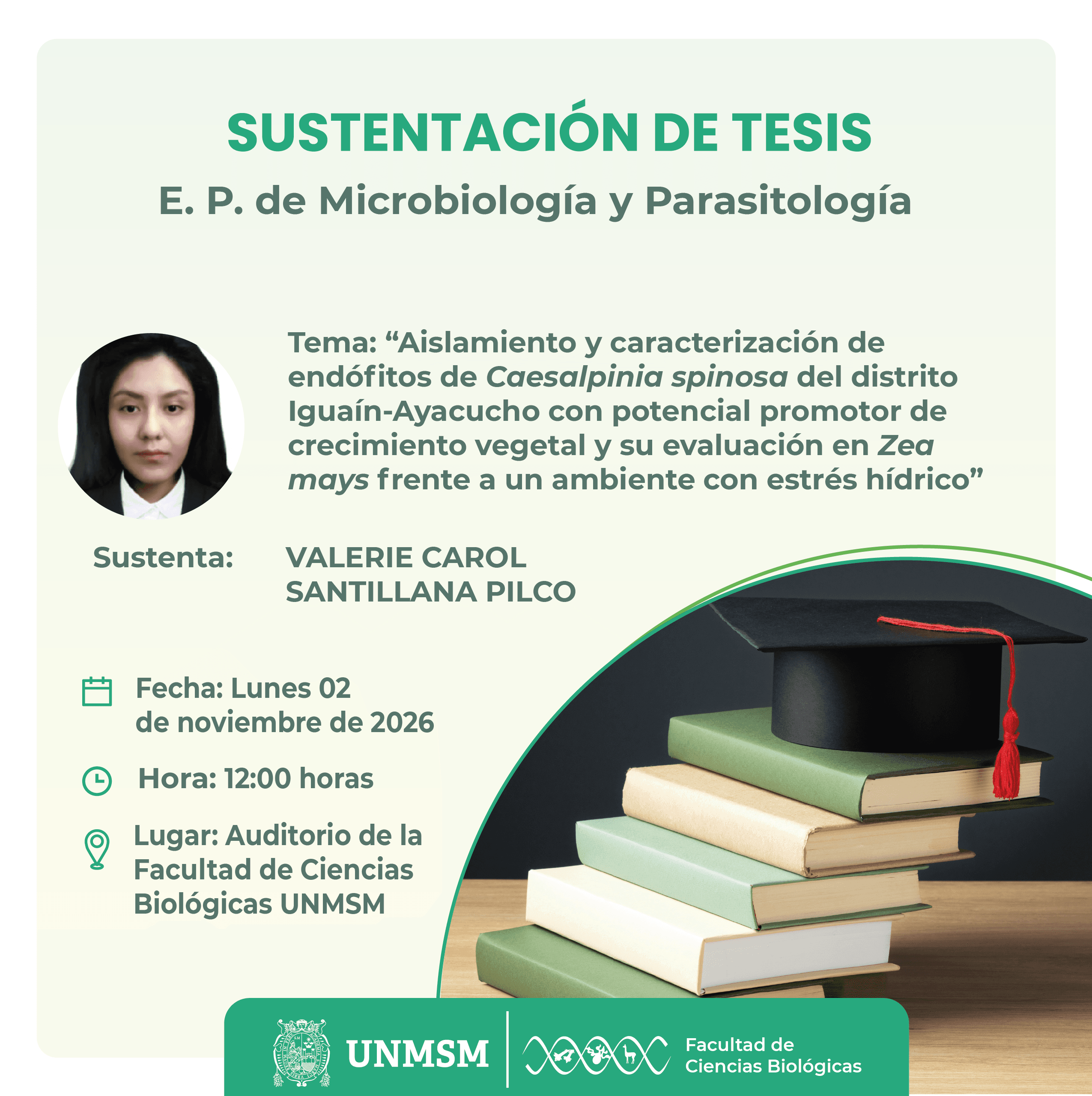 sustentación tesis myp santillana_Mesa de trabajo 1.png