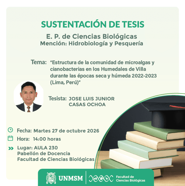 sustentación tesis  ochoa_Mesa de trabajo 1.png