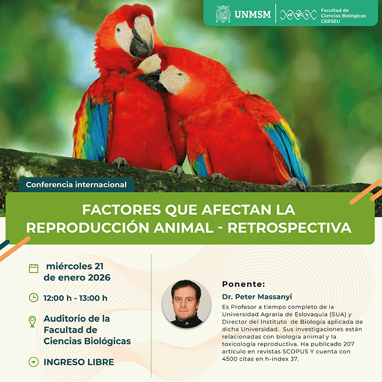 web-conferencia 21 enero_Mesa de trabajo 1.png