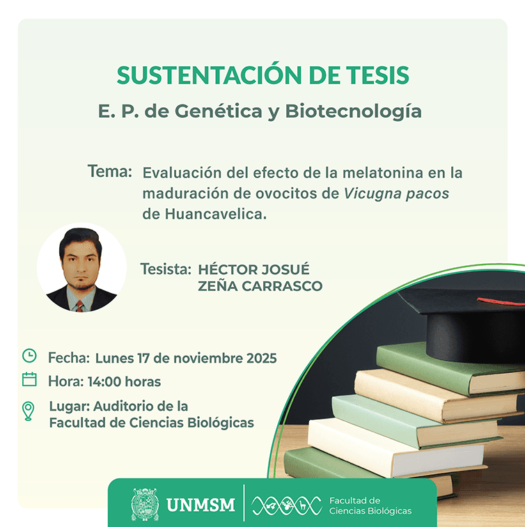 web sustentación tesis gyb Zeña_Mesa de trabajo 1.png