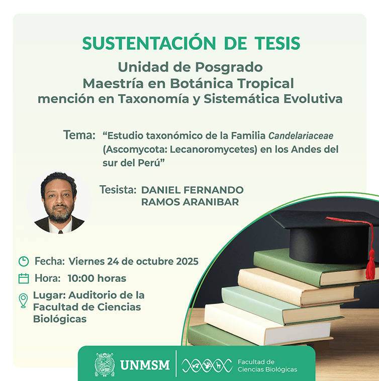 web sustentación tesis maestria 24 oct_Mesa de trabajo 1.png