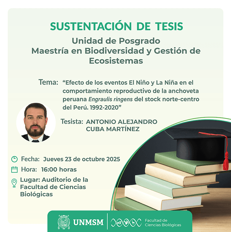web sustentación tesis maestria octubre_Mesa de trabajo 1.png