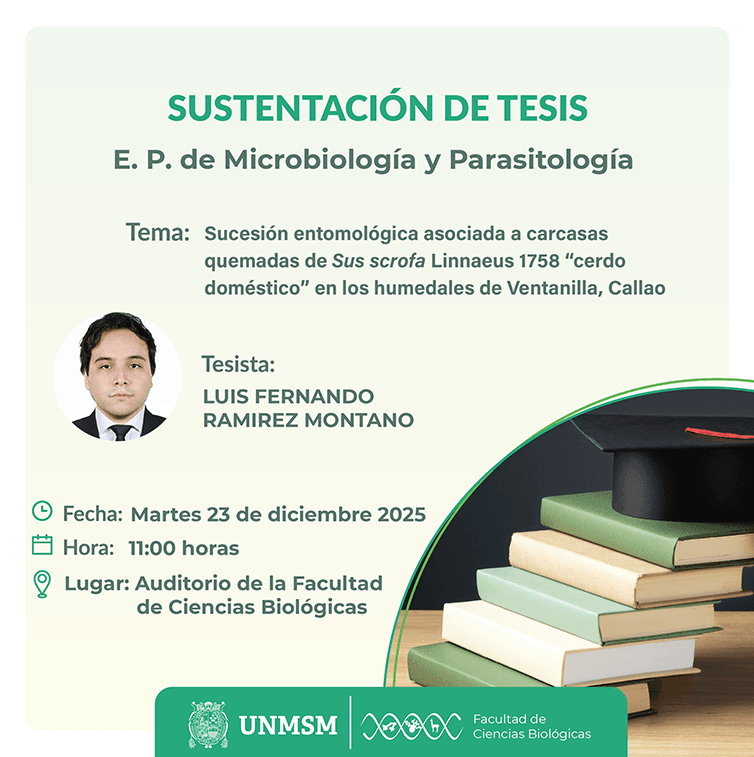 web sustentación tesis mypara ramirez montano.png